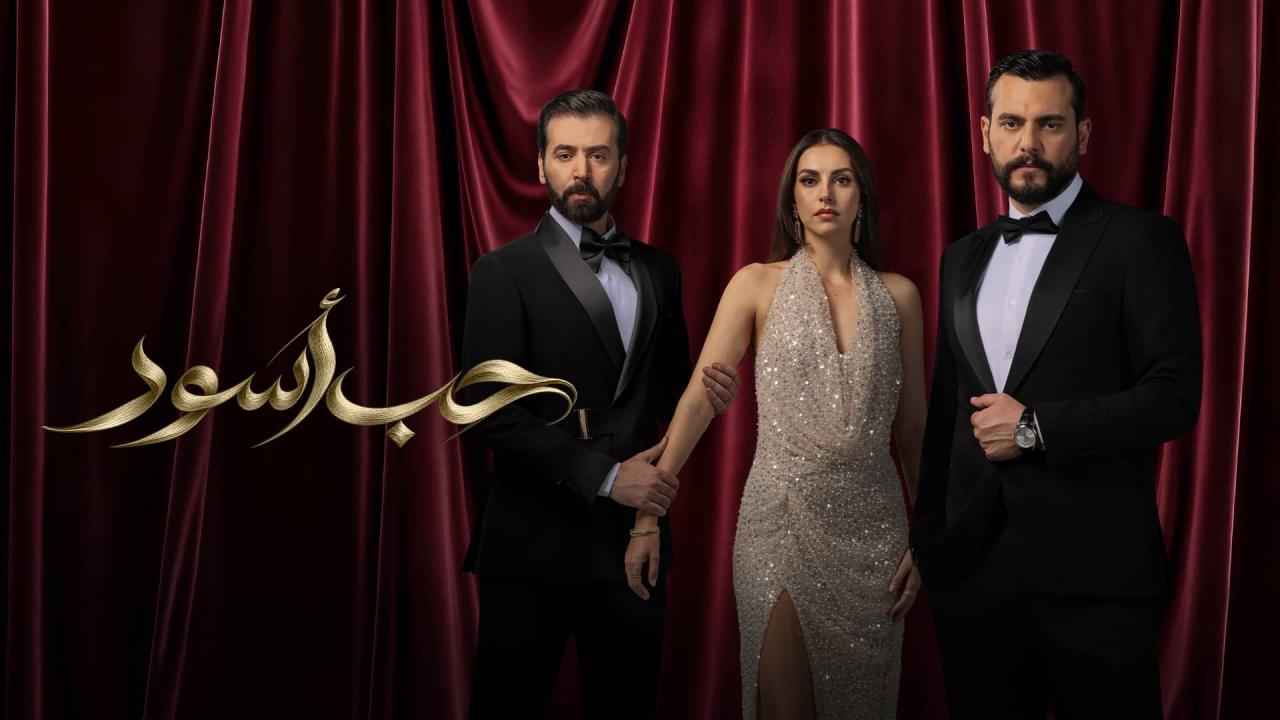 مشاهدة مسلسل حب أسود الحلقة 14 الرابعة عشر